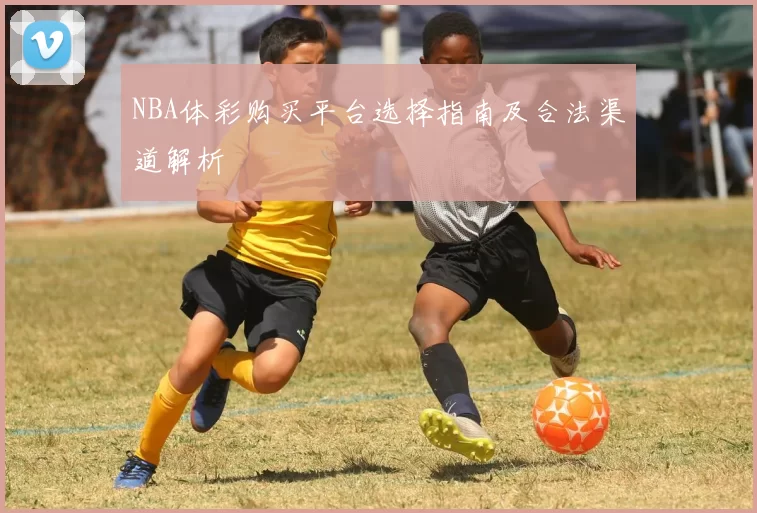 NBA体彩购买平台选择指南及合法渠道解析