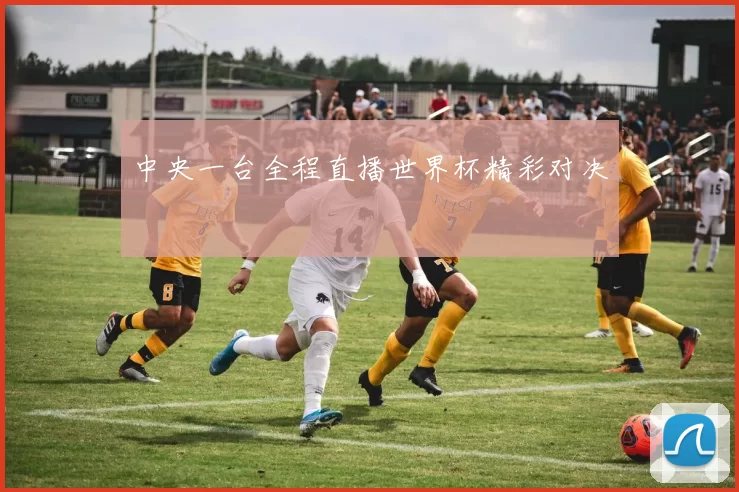 中央一台全程直播世界杯精彩对决