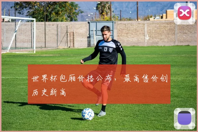 世界杯包厢价格公布,最高售价创历史新高