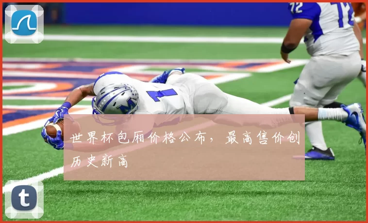 世界杯包厢价格公布，最高售价创历史新高