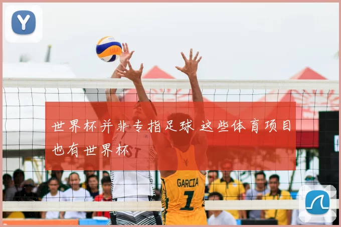世界杯并非专指足球 这些体育项目也有世界杯