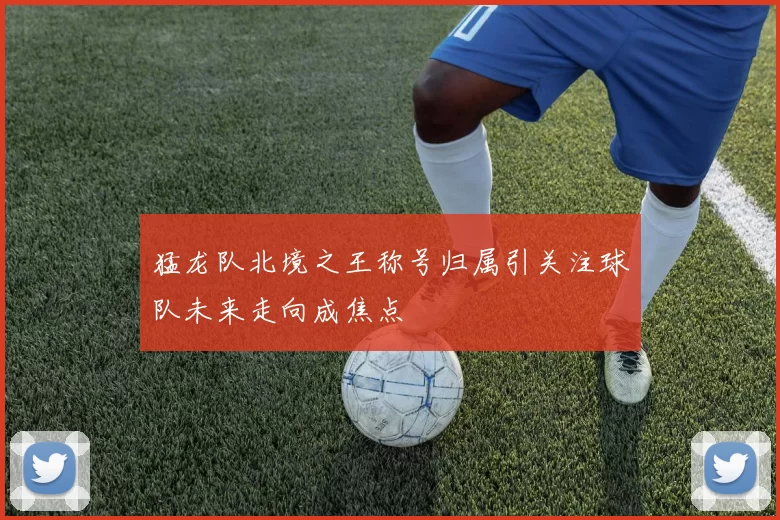 猛龙队北境之王称号归属引关注球队未来走向成焦点