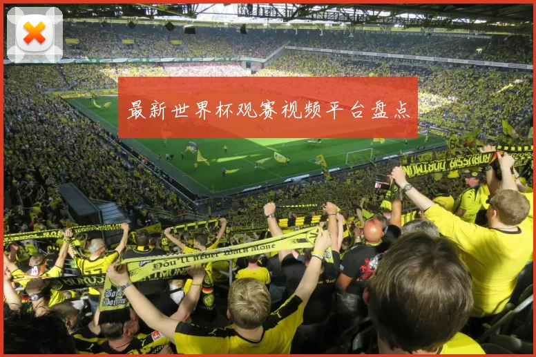 最新世界杯观赛视频平台盘点