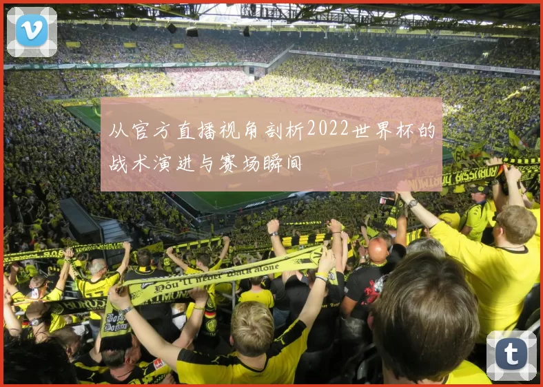 从官方直播视角剖析2022世界杯的战术演进与赛场瞬间