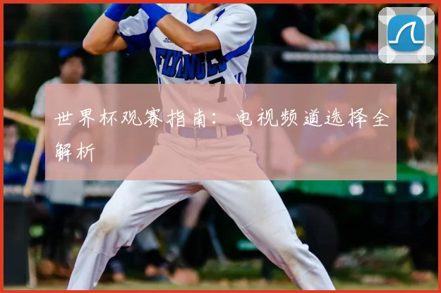 世界杯观赛指南：电视频道选择全解析