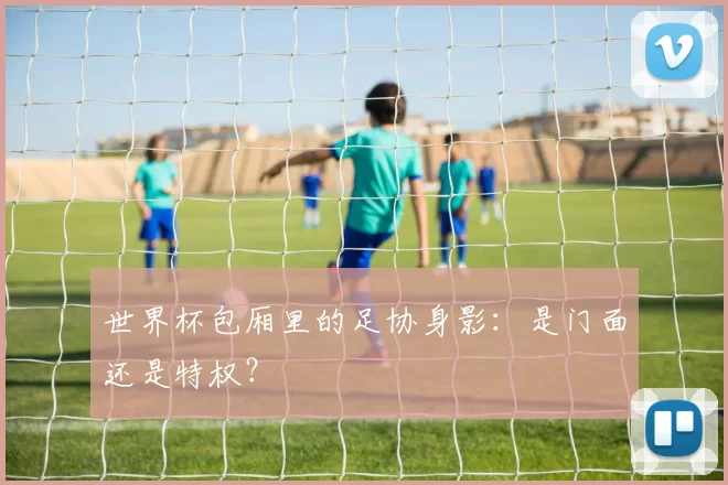 世界杯包厢里的足协身影：是门面还是特权？