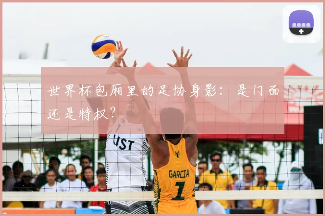 世界杯包厢里的足协身影:是门面还是特权?