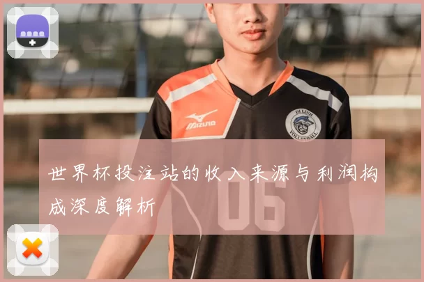 世界杯投注站的收入来源与利润构成深度解析