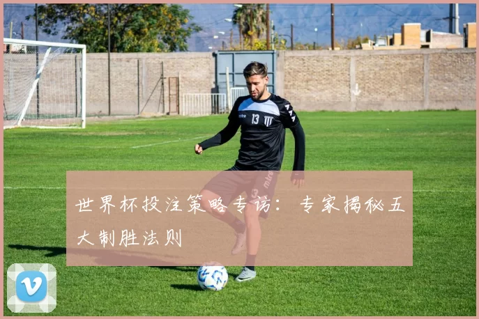 世界杯投注策略专访：专家揭秘五大制胜法则